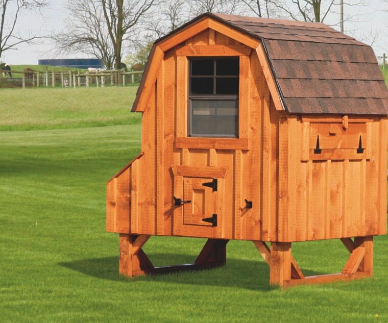Dutch Chicken Coop