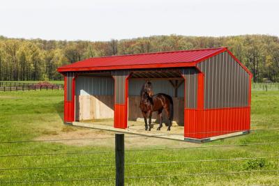 Run-In Amish Sheds
