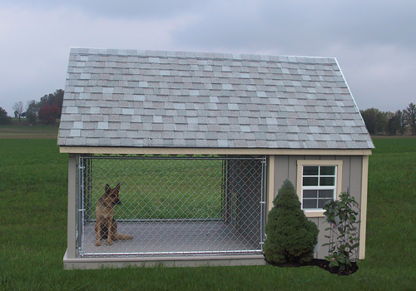 Dog House & Kennel Run