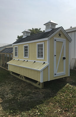 Large Dixie Coop