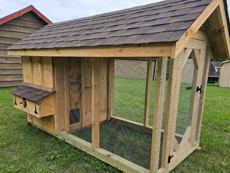 Walk in Chicken Coop