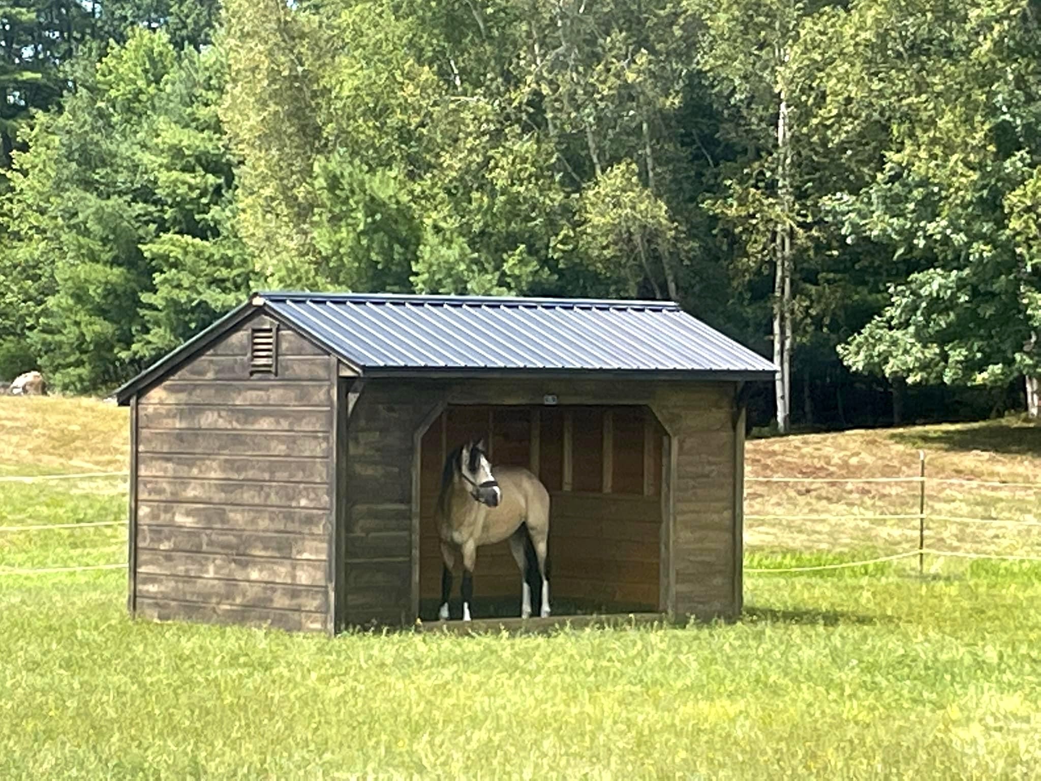 HORSE SHELTER