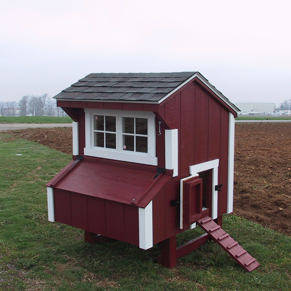 Chicken Coop