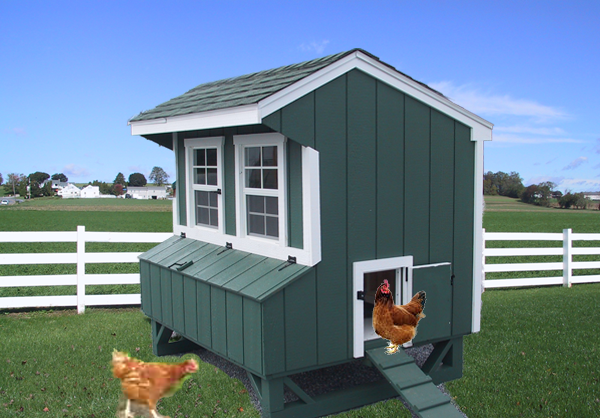 Quaker Chicken Coop