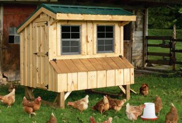 large combination chicken coop with run