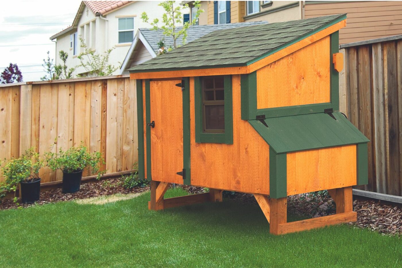 Lean-To Chicken Coop