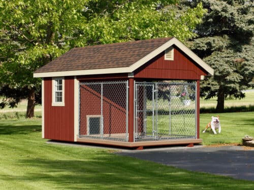 Shed Style Dog Kennel