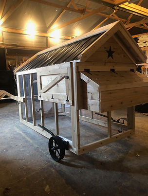 All in One Chicken Tractor/ Coop