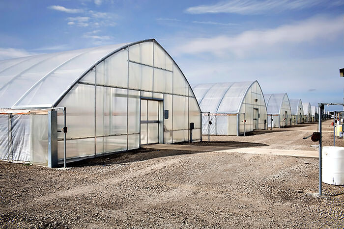 AC Garden Greenhouses thumbnail 3