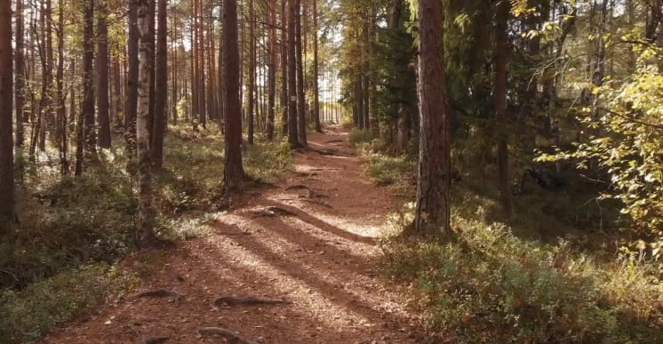 Estonia Showcase 60 thumbnail 3