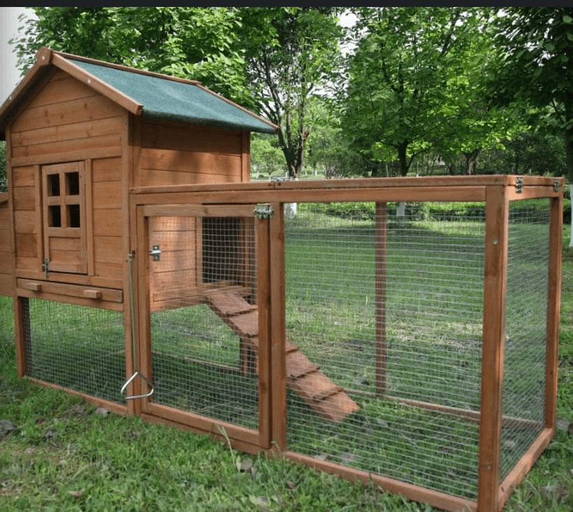 BIRD HOUSE